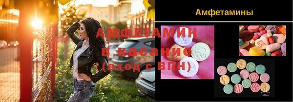 амф Алексин