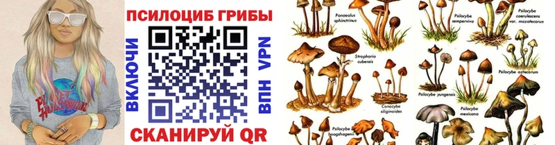 даркнет сайт  Алексин  Галлюциногенные грибы прущие грибы 
